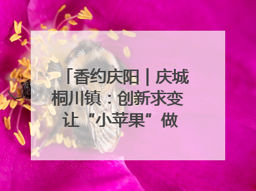 香约庆阳｜庆城桐川镇：创新求变 让“小苹果”做成“大产业”