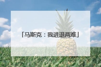 马斯克：我进退两难