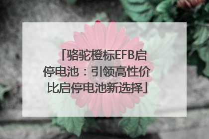 骆驼橙标EFB启停电池：引领高性价比启停电池新选择
