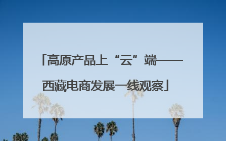 高原产品上“云”端——西藏电商发展一线观察