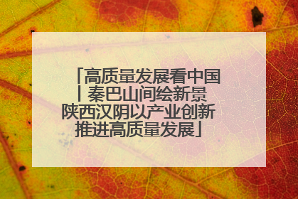 高质量发展看中国丨秦巴山间绘新景 陕西汉阴以产业创新推进高质量发展