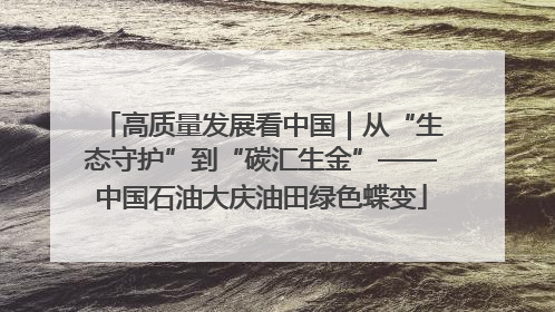 高质量发展看中国｜从“生态守护”到“碳汇生金”——中国石油大庆油田绿色蝶变