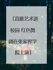 高雅艺术进校园 红色舞剧在张家界学院上演