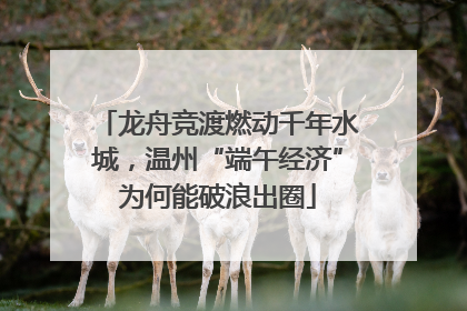 龙舟竞渡燃动千年水城，温州“端午经济”为何能破浪出圈