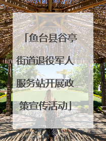 鱼台县谷亭街道退役军人服务站开展政策宣传活动