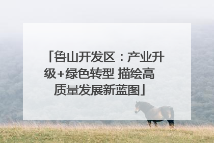 鲁山开发区：产业升级+绿色转型 描绘高质量发展新蓝图