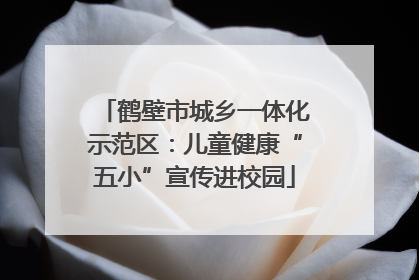 鹤壁市城乡一体化示范区：儿童健康“五小”宣传进校园