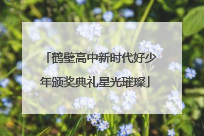 鹤壁高中新时代好少年颁奖典礼星光璀璨