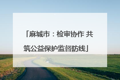 麻城市：检审协作 共筑公益保护监督防线