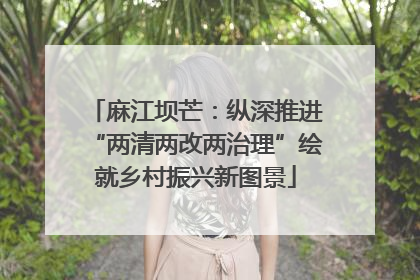 麻江坝芒：纵深推进“两清两改两治理”绘就乡村振兴新图景