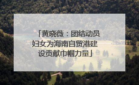 黄晓薇：团结动员妇女为海南自贸港建设贡献巾帼力量