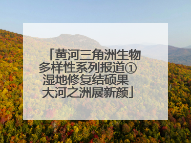 黄河三角洲生物多样性系列报道①湿地修复结硕果 大河之洲展新颜
