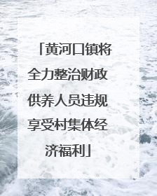 黄河口镇将全力整治财政供养人员违规享受村集体经济福利