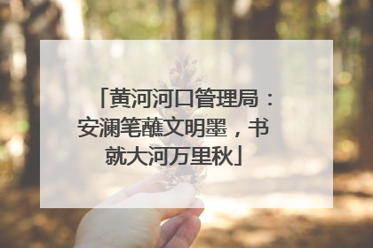 黄河河口管理局：安澜笔蘸文明墨，书就大河万里秋