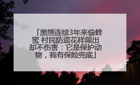 黑熊连续3年来偷蜂蜜 村民防盗花样频出却不伤害：它是保护动物，我有保险兜底