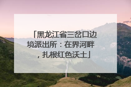 黑龙江省三岔口边境派出所：在界河畔，扎根红色沃土