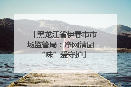 黑龙江省伊春市市场监管局：净网清厨 “味”爱守护