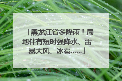黑龙江省多降雨！局地伴有短时强降水、雷暴大风、冰雹……