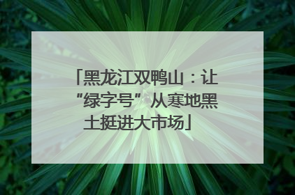 黑龙江双鸭山：让“绿字号”从寒地黑土挺进大市场