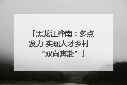黑龙江桦南：多点发力 实现人才乡村“双向奔赴”