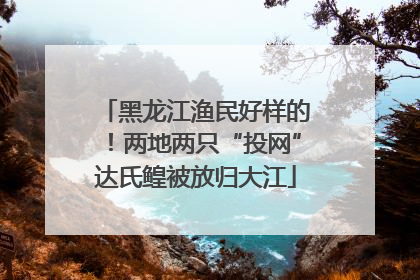 黑龙江渔民好样的！两地两只“投网”达氏鳇被放归大江