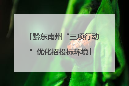 黔东南州“三项行动”优化招投标环境