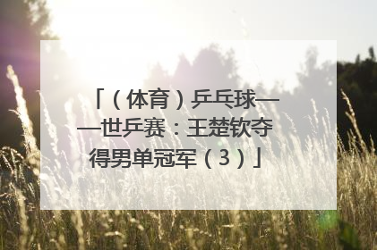 （体育）乒乓球——世乒赛：王楚钦夺得男单冠军（3）