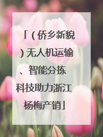（侨乡新貌）无人机运输、智能分拣 科技助力浙江杨梅产销