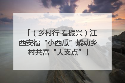 （乡村行·看振兴）江西安福“小西瓜”撬动乡村共富“大支点”
