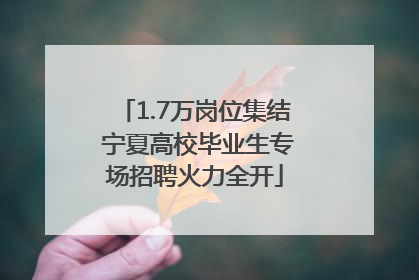 1.7万岗位集结 宁夏高校毕业生专场招聘火力全开