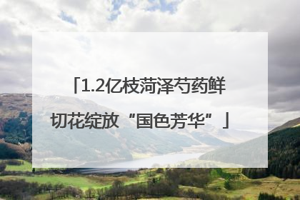 1.2亿枝菏泽芍药鲜切花绽放“国色芳华”