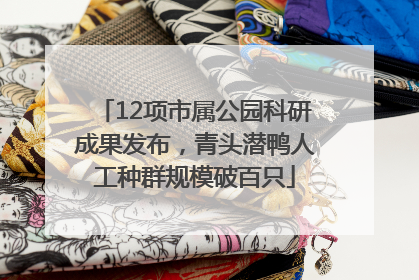 12项市属公园科研成果发布，青头潜鸭人工种群规模破百只