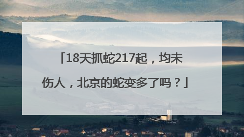 18天抓蛇217起，均未伤人，北京的蛇变多了吗？