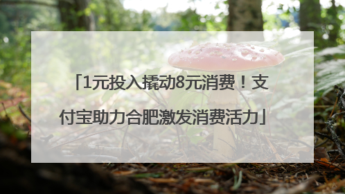 1元投入撬动8元消费！支付宝助力合肥激发消费活力