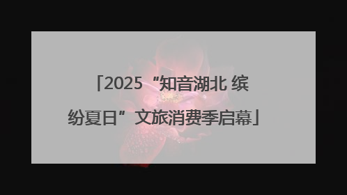 2025“知音湖北 缤纷夏日”文旅消费季启幕