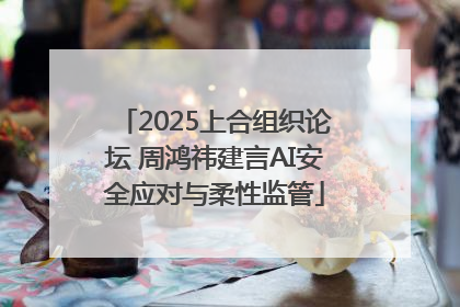 2025上合组织论坛 周鸿祎建言AI安全应对与柔性监管