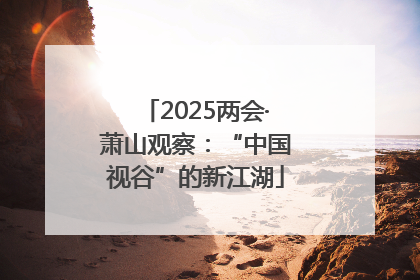 2025两会·萧山观察：“中国视谷”的新江湖