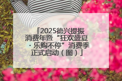 2025德兴提振消费年暨“狂欢盛夏・乐购不停”消费季正式启动（图）