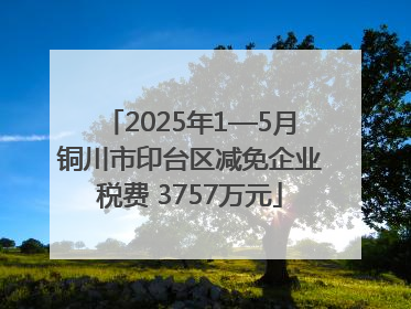 2025年1—5月铜川市印台区减免企业税费 3757万元