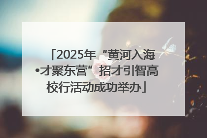 2025年“黄河入海•才聚东营”招才引智高校行活动成功举办