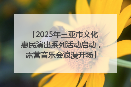 2025年三亚市文化惠民演出系列活动启动，露营音乐会浪漫开场