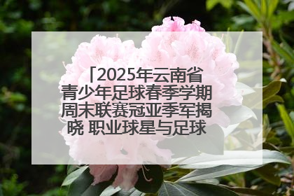 2025年云南省青少年足球春季学期周末联赛冠亚季军揭晓 职业球星与足球小将共享荣耀时刻