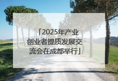 2025年产业创业者提质发展交流会在成都举行