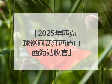 2025年匹克球巡回赛江西庐山西海站收官
