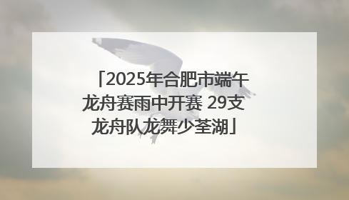 2025年合肥市端午龙舟赛雨中开赛 29支龙舟队龙舞少荃湖