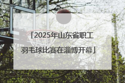 2025年山东省职工羽毛球比赛在淄博开幕