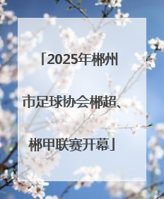 2025年郴州市足球协会郴超、郴甲联赛开幕