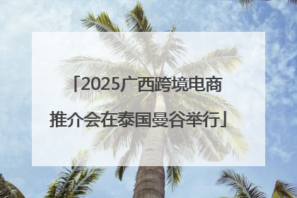 2025广西跨境电商推介会在泰国曼谷举行