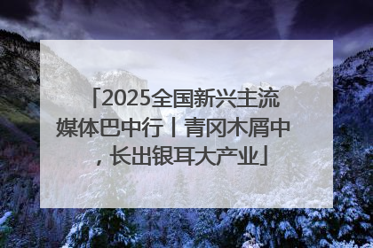 2025全国新兴主流媒体巴中行丨青冈木屑中，长出银耳大产业