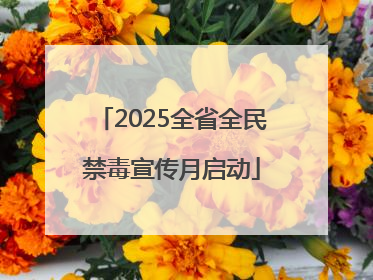 2025全省全民禁毒宣传月启动